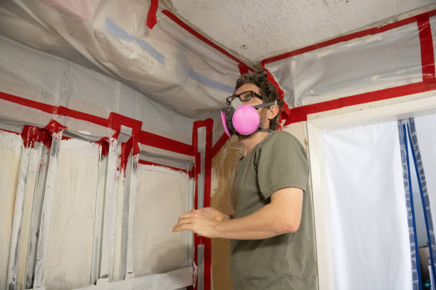 Best Mold Damage Restoration  in Fort Bliss, TX