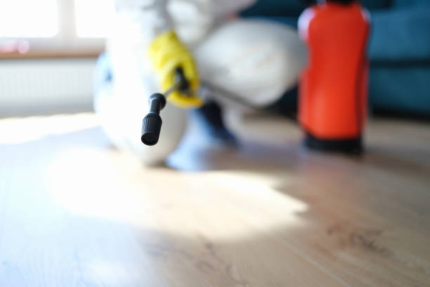 Fort Bliss, TX Mold Removal Company