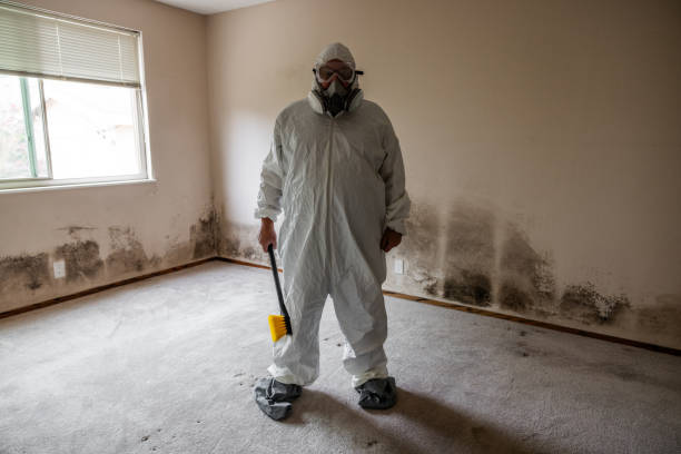 Best Black Mold Removal  in Fort Bliss, TX